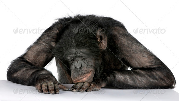 Burn-out - Stock Photo - Images