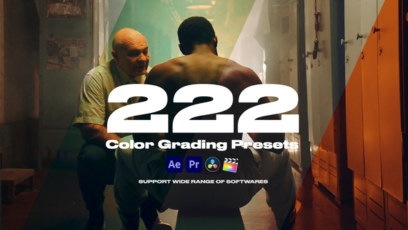 Professional LUTs Color Presets Pack Premiere Pro Template