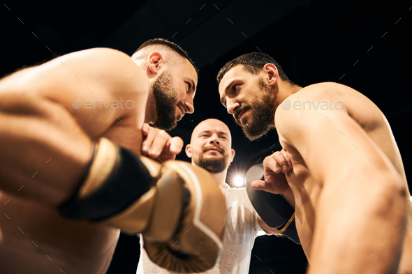 will two male boxers get along