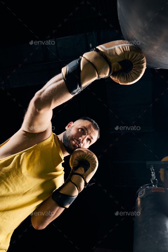 Ceiling Anchor High Strength Boxing Punch Bag Hanger MMA Speedball Hook
