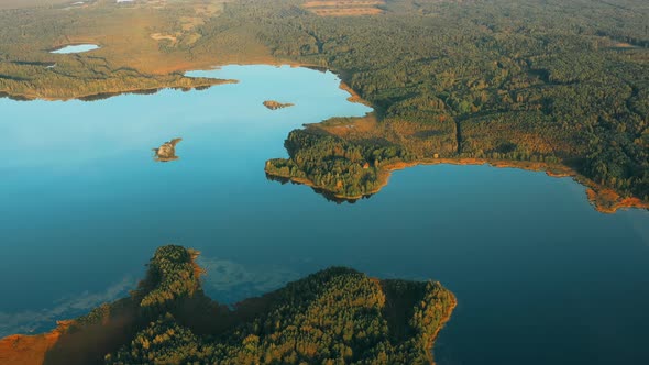 Green Coniferous Forest Growing On Lake Coastside alt