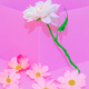 Romantic Decor roses - PhotoDune Item for Sale