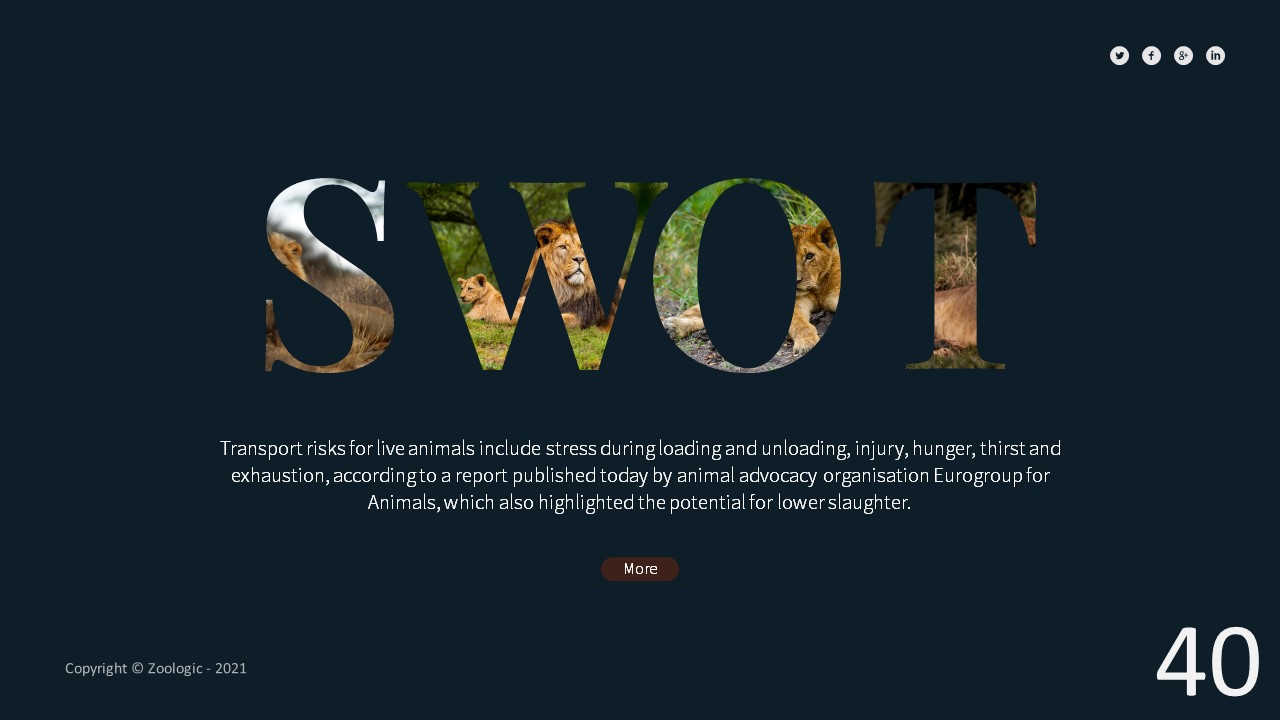 Zoologic Animal Presentation Template, Presentation Templates ...