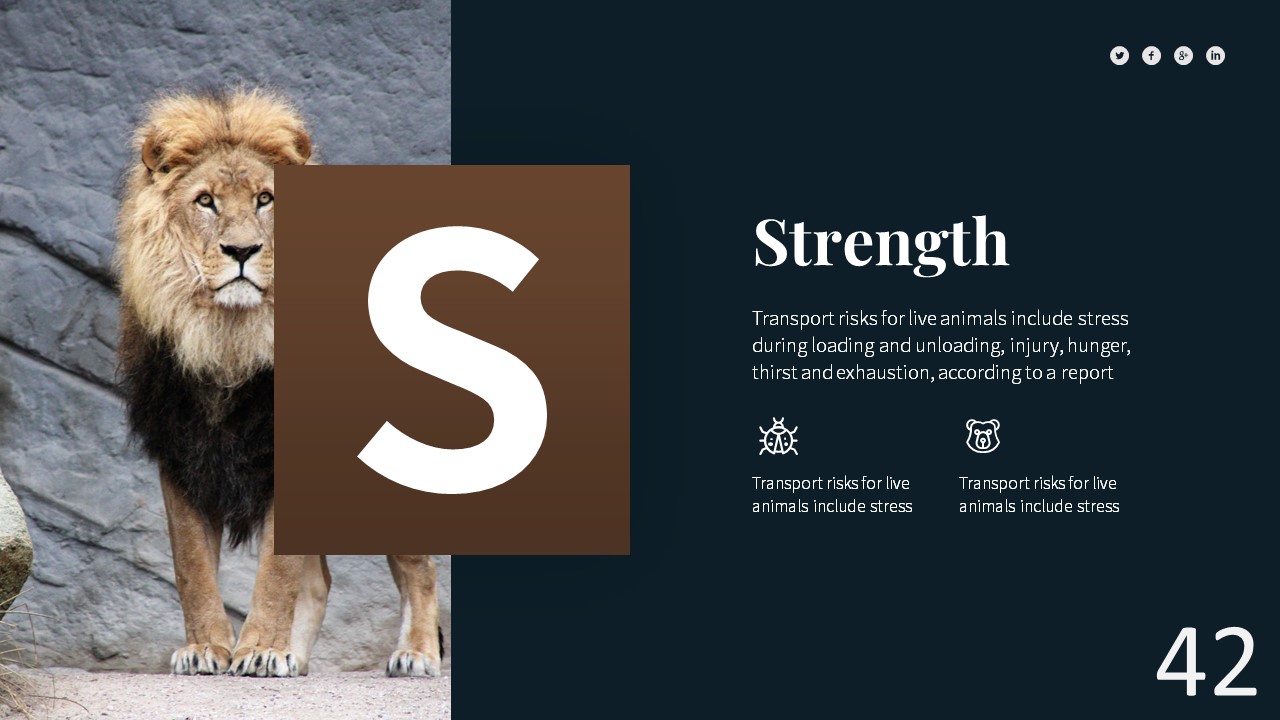 Zoologic Animal Presentation Template, Presentation Templates ...