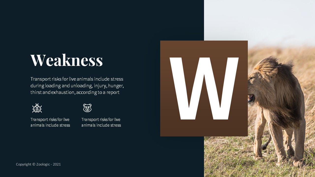 Zoologic Animal Presentation Template, Presentation Templates ...