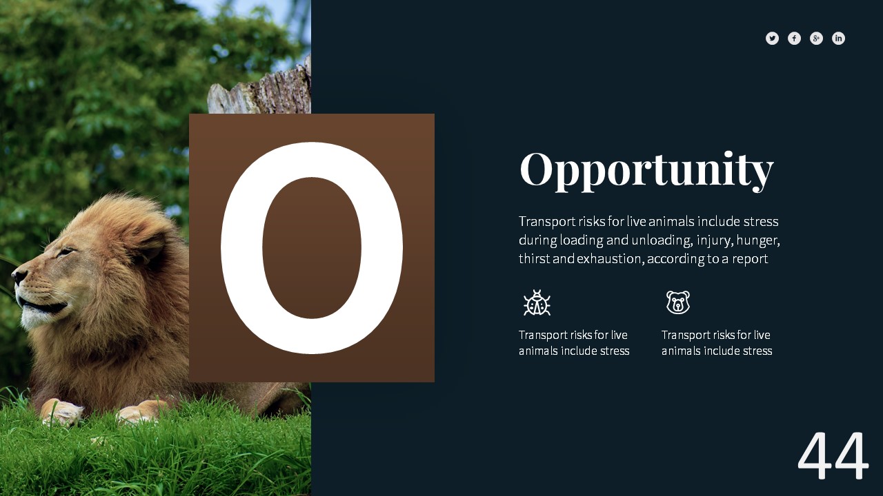 Zoologic Animal Presentation Template, Presentation Templates ...