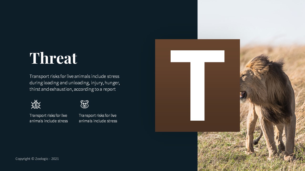 Zoologic Animal Presentation Template, Presentation Templates ...