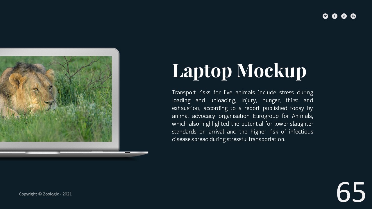 Zoologic Animal Presentation Template, Presentation Templates ...