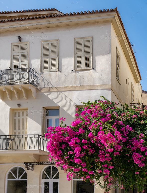 Bougainvillea fuchsia color flowers on a neoclassical building facade.  Nafplio Old town, Greece, Stock Photo by rawf8