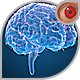 Brains Hologram - VideoHive Item for Sale