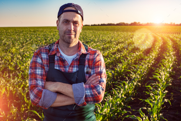 Middle age male caucasian confident satisfied farm worker with crossed ...