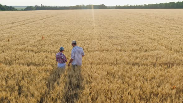 Aerial View Couple Farmers Working with a Tablet in a Field alt
