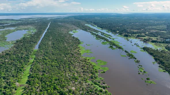 Amazon River at Amazon Forest. The famous tropical forest of world. Manaus Brazil. Amazonian ecosyst alt