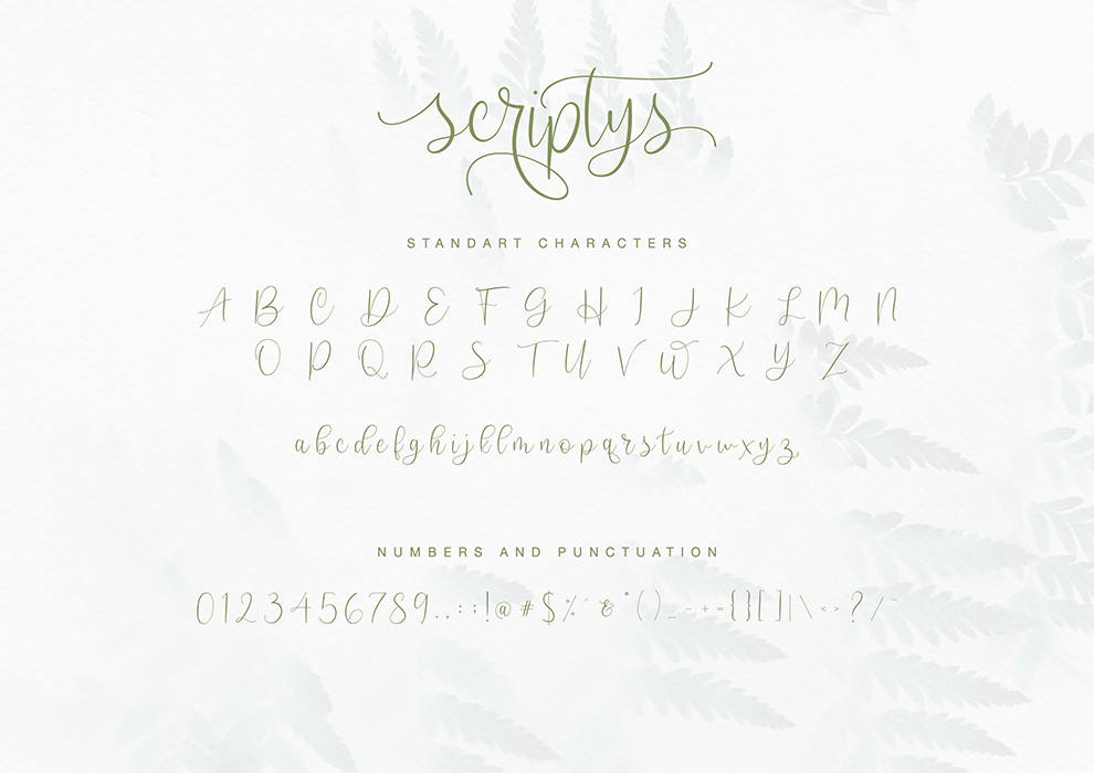 Scriptys, Fonts | GraphicRiver