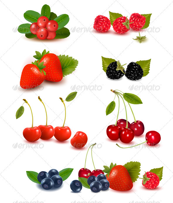 Big group of fresh berries Vector illustration - Food Objects