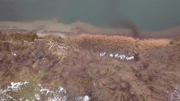 Aerial View of the Shore of a Big Forest Lake Showing the Clear Water the Sandy Beach and the Trees alt