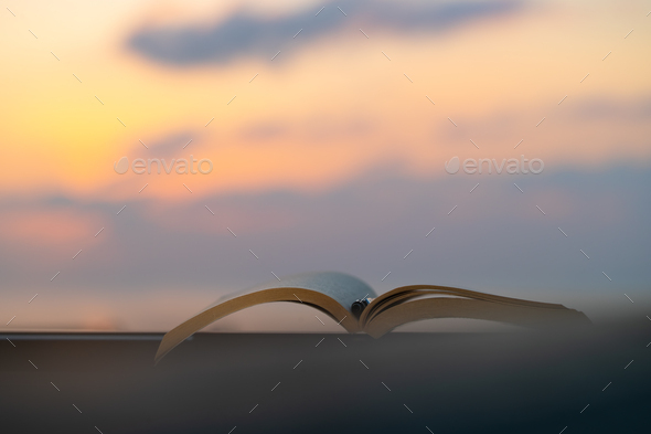 Nice Evening with a Book - Stock Photo - Images