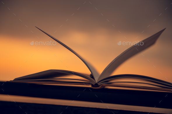 Cozy Evening with a Book - Stock Photo - Images