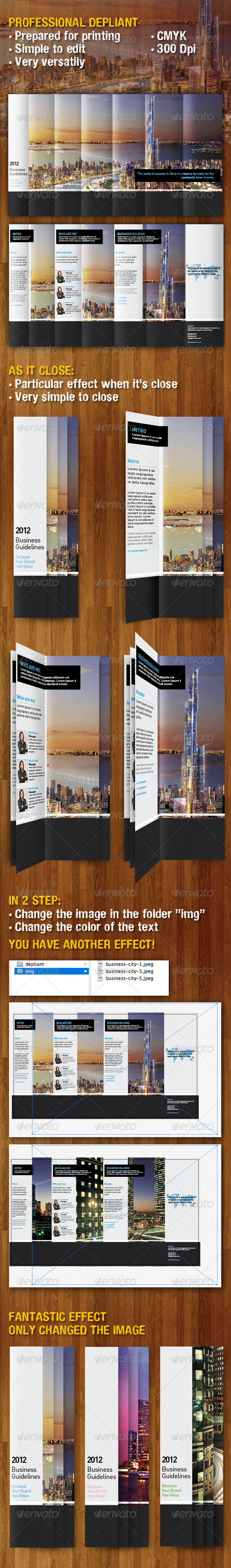 PROFESSIONAL DEPLIANT TEMPLATE - Informational Brochures