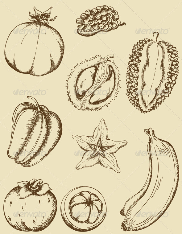Vintage Fruits - Food Objects