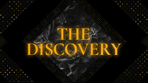 The Discovery - Luxury Opener // DaVinci Resolve