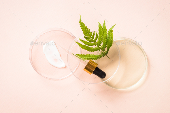 Glass petri dish with cosmetic products and green plants - Stock Photo - Images