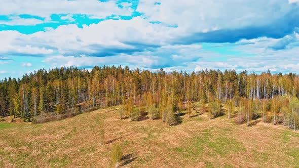 Aerial View of Fields with Forests on a Spring Sunny Day a Magical Landscape with Treetops Lakes in alt