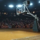 Crowd Noise Basketball Game Stadium