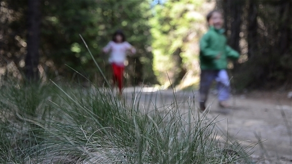 Kids Running In The Woods