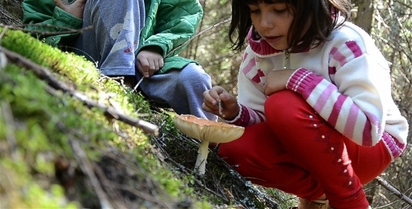 Kids In Woods