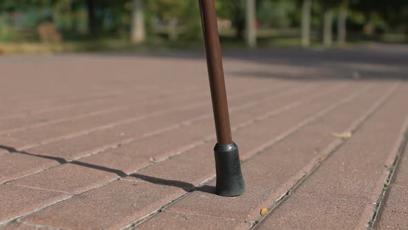 Male in Sport Shoes Walking With Stick, Rehab Exercise Outdoors, Health Care