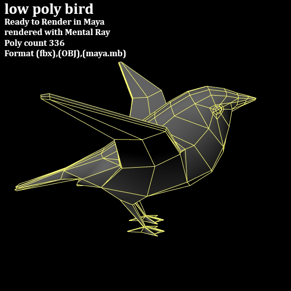 low poly bird - 3Docean 33066323