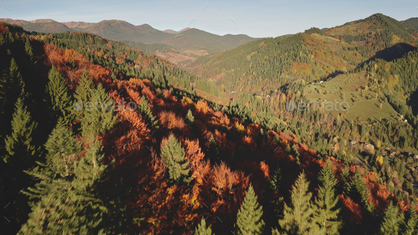Aerial autumn mountain forest. Sun nobody nature landscape. Countryside buildings at natural beauty - Stock Photo - Images