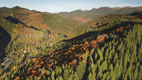 Sun autumn mountain trees at ranges. Aerial nobody nature landscape. Road at mount valley village - Stock Photo - Images