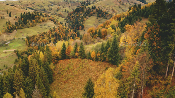 Autumn mountain forest aerial. Sun nobody nature landscape. Rural road at village. Countryside - Stock Photo - Images