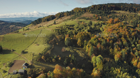 Mountain village at top aerial. Autumn nobody nature landscape. Green trees, grass at cottages - Stock Photo - Images