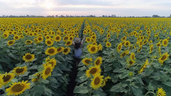 Enjoying Vacation, Aerial Video of Running Girl Is Having Fun on Field with Sunflowers at Summer alt