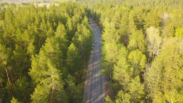 Forest Road From Above