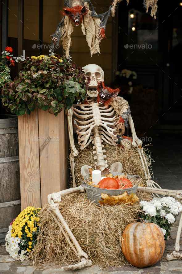scary halloween skeleton