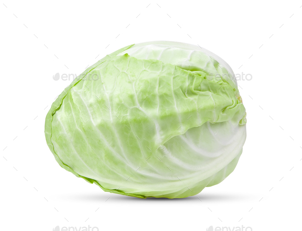 pointed cabbage on white background - Stock Photo - Images