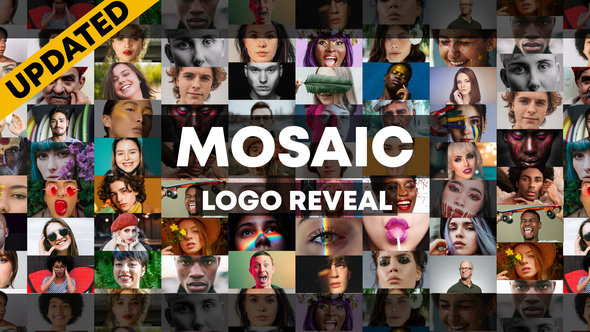 Mosaic Stomp Photo - VideoHive 27800973