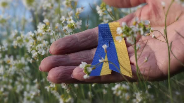 Closeup Shot of a Ukrainian Symbol Held By an Elderly Person in Nature