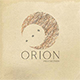 ORION_production