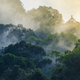 Nature View Of Khao Yai National Park Thailand Stock Photo