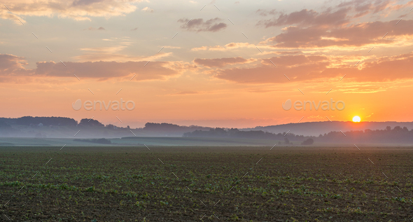 Sunrise in the farmlands - Stock Photo - Images