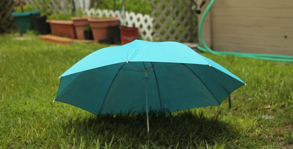 Umbrella With Garden In Back