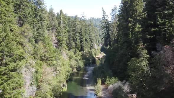 Drone Flying Down A River In a Forest alt
