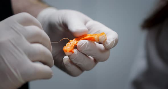 Hands of a Dentist in Medical Gloves Work with Dental Implants and Crowns in a Medical Office alt