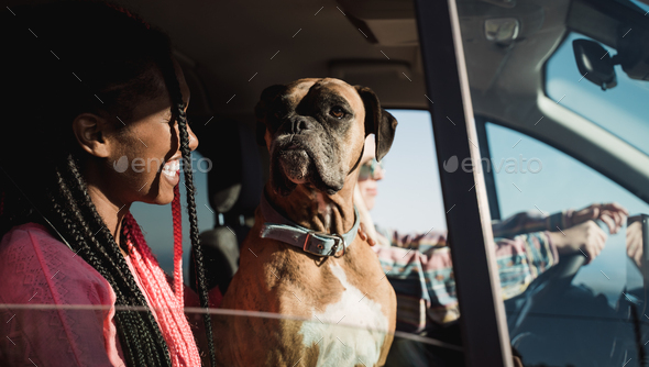 Multiracial people having fun driving car with pet dog in summer vacation - Friends in camper van - Stock Photo - Images