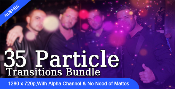 Particle Transition Bundle